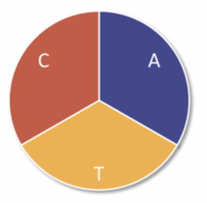 A pie chart divided into 3 parts. The red part is labelled C, the blue part is labelled A, and the yellow part is labelled T.